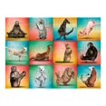 thumbnail image 2 of Willow Creek Press Animal Yoga 500-Piece Puzzle, 2 of 2