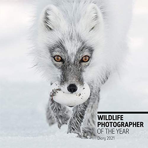 Photographe Faune de l'Année Bureau Journal 2021 (Photographe Faune de l'Année)