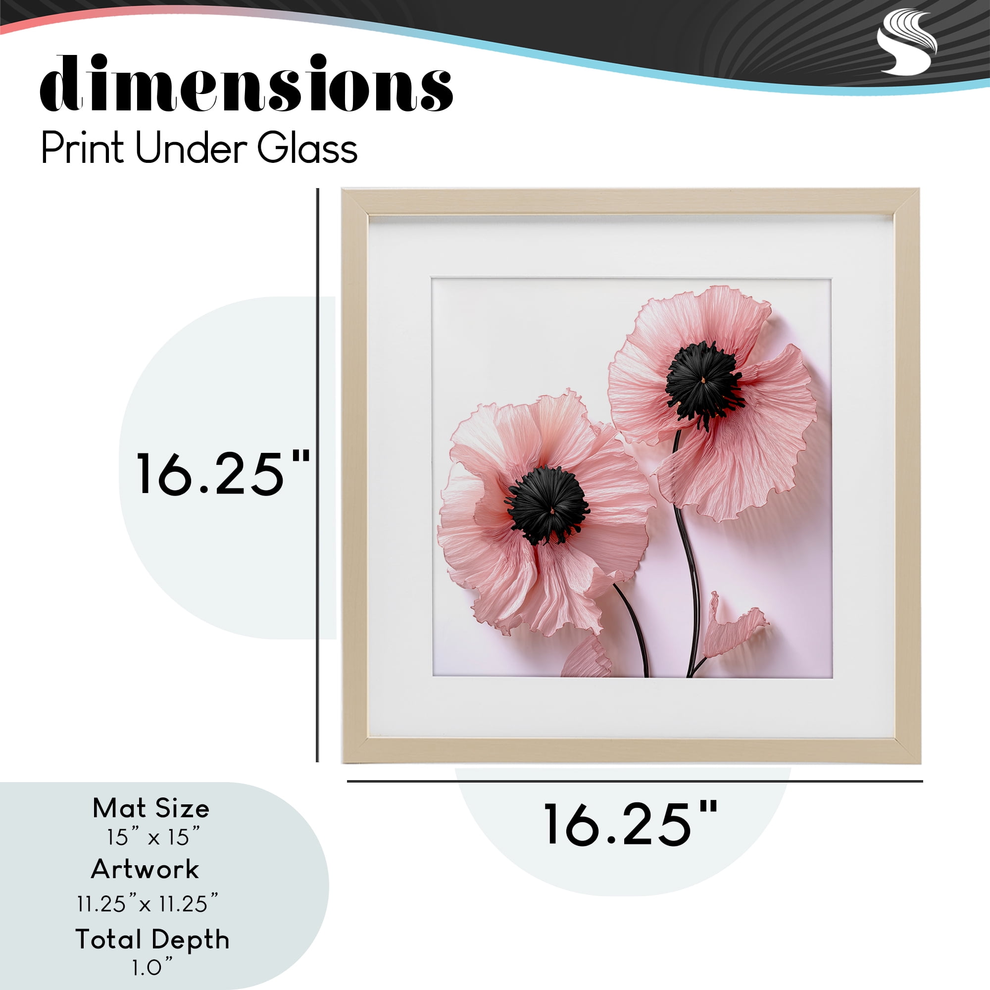 Properly Pink Poppies Birch Framed Print Under Glass, design by Sasha