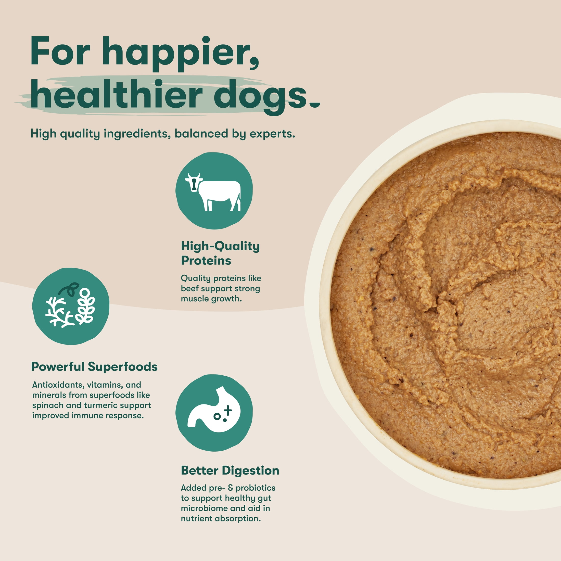 (3 pack) Jinx Pate with Chicken & Vegetables Natural Wet Dog Food, Grain Free, 13 oz Can