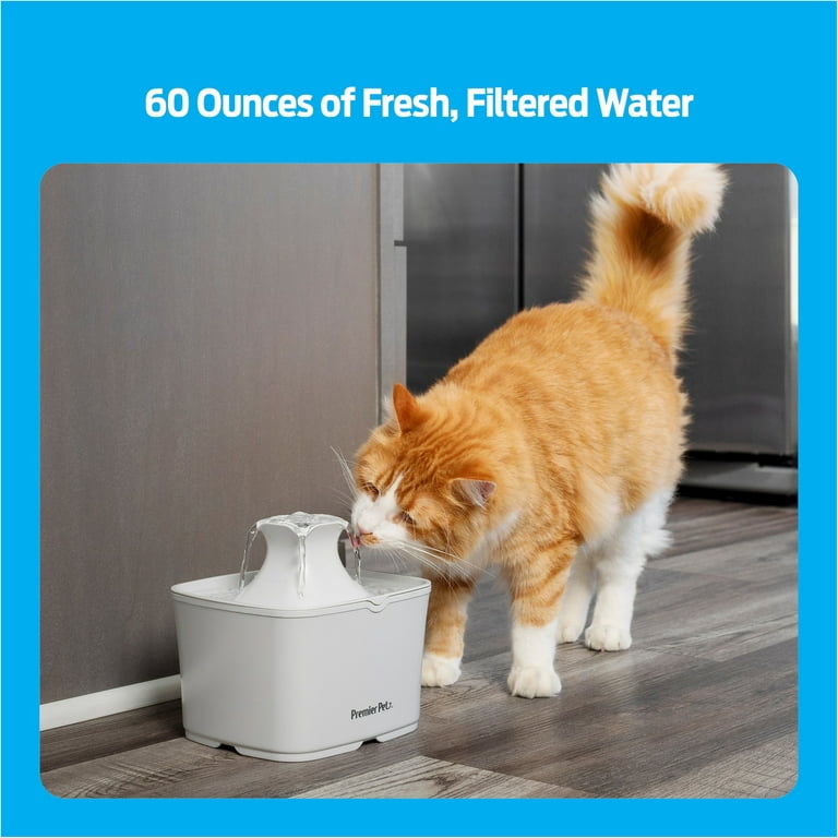 The 14 Best Automatic Pet Feeders and Water Fountains