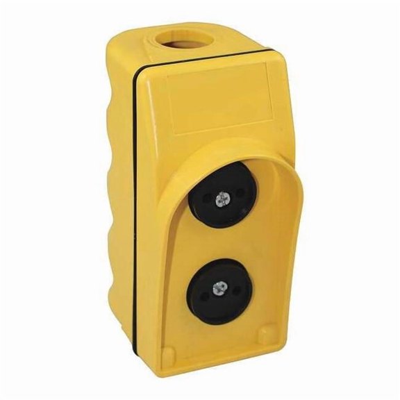 Dayton Pendant Station,Yellow,2 Speed 20C805