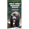 Great Smoky Mountains Wildlife: An Introduction to Familiar Species