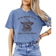 thumbnail image 2 of It Is What It Is and It Is Not Great Shirt for Women & Teens Funny Raccoon Tee Blue Jean Shirt Adult Small, 2 of 4
