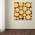 thumbnail image 3 of Trademark Fine Art 'Wilderness Lodge H' Canvas Art by Jean Plout, 3 of 3