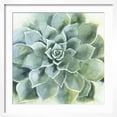 thumbnail image 2 of Art.com Verdant Succulent II Art Print by Victoria Borges, White Frame Wall Art, 21" x 21", 2 of 4