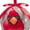 Cardinal, variant on Christmas Tree Blinking Hanging Ball Ornament Animals, Rudolph, Size: One Size, D&D Distributing