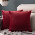 thumbnail image 3 of Juego de 2, acogedora funda de almohada de terciopelo liso, funda decorativa para cojín de sofá, funda suave para sofá Euro con cremallera de 45x45cm, 3 of 5