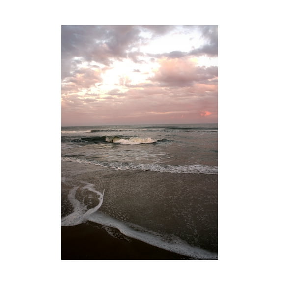 Canvas Wall Art - DANE 'Beaches 20' Wall Art for Living Room, Bedroom, or Office Décor by Trademark Fine Art - 12 x 19 Inches