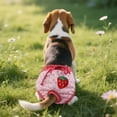 thumbnail image 5 of TIELUTT Female Dog Pet Dog Puppy Hygiene Pants Shorts Pet Clothes for Small Dogs Tutu Pet Clothes Rack Small Pet Clothes Pet Clothes for Medium Dogs Male Pet Clothes for Cats for A Girl, 5 of 5