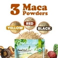 thumbnail image 5 of Organic Tri-Color Maca Powder Blend, 8 Pounds – Non-GMO, Vegan, Kosher, Bulk – by Food to Live, 5 of 7