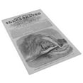 thumbnail image 3 of Print: The War In Virginia - Explosion Of A Torpedo Under The Commodore, 3 of 4