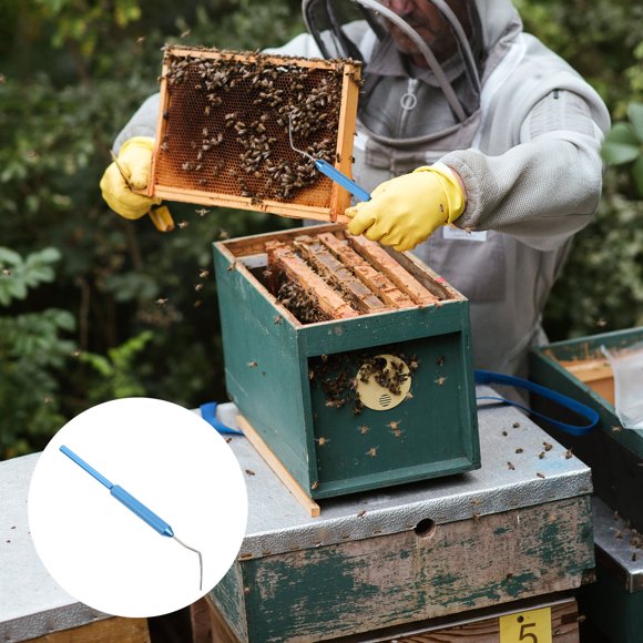 Houderco Herramienta De Injerto Para Abejas Inoxidable Y Duradera