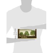 BACHMANN 3-4 Inch Elm Tree 3pc