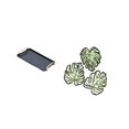 View all media