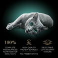 thumbnail image 5 of (12 pack) Sheba Wet Cat Food Cuts in Gravy Roasted Chicken Entree, 2.6 oz Perfect Portions Twin-Pack Tray, 5 of 12