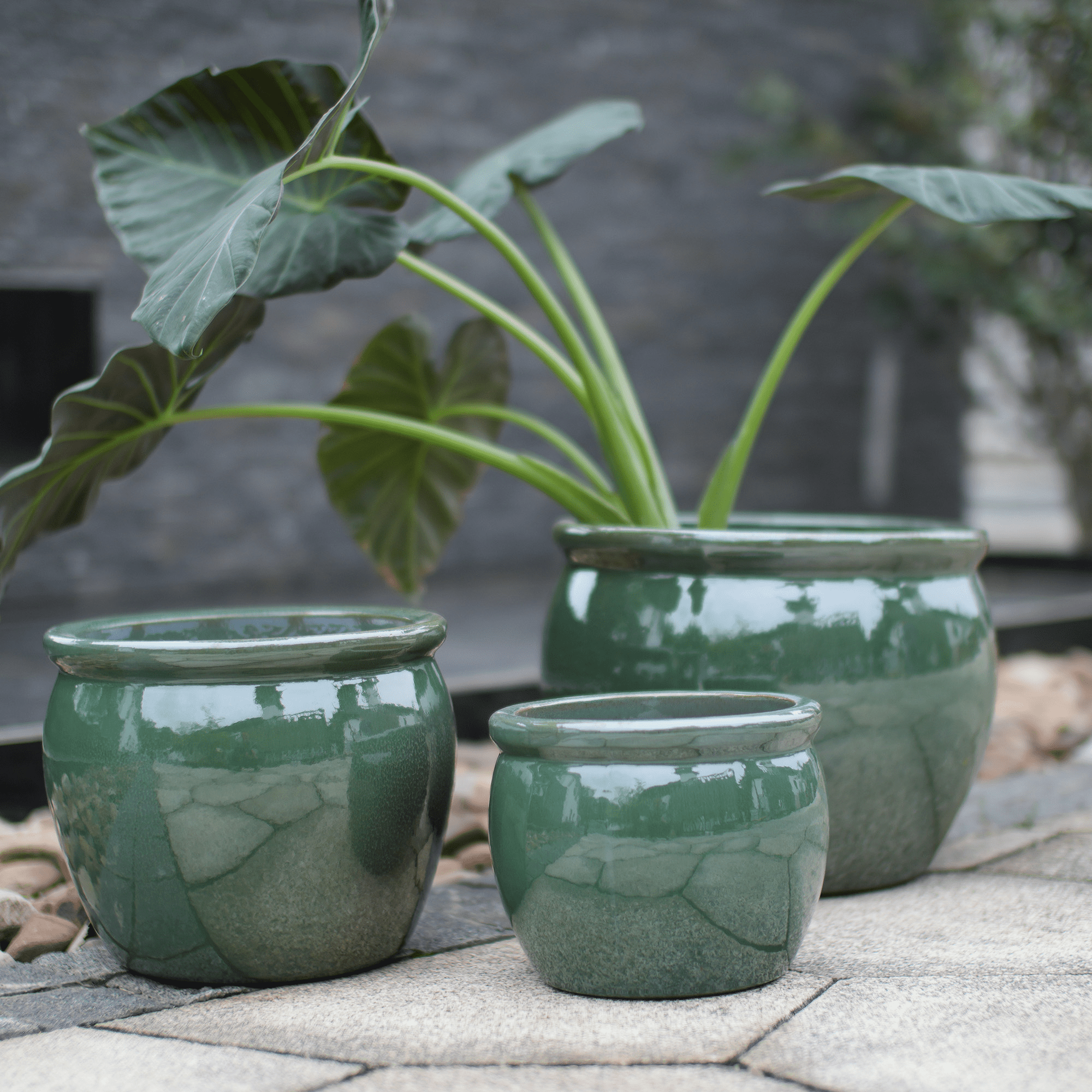 mdj pottery Ceramic Plant Pots, 9+11+15 Inches, Set of 3, Drum Shaped Flower Pots with Drainage Hole, Single-Sided Glazed Breathable Planters for Indoor/Outdoor Plants, Dark Green