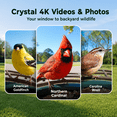 thumbnail image 3 of Kiwibit Smart Bird Feeder with Camera, 4K Ultra HD Video, No Subscription AI Identify 10000+ Species, Easy Setup, Ideal Gift for Bird Lovers, 3 of 14