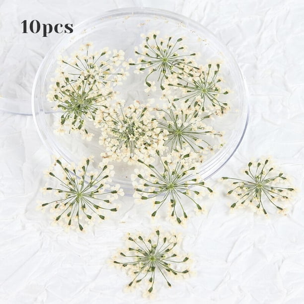Flores acrílicas iridiscentes para uñas, cuentas de acero 3D, piedras preciosas, diseño de manicura de verano, accesorios de decoración, 200 piezas