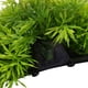 thumbnail image 5 of Accesorios para tanque de peces de acuario decoración de hierba verde planta de agua de plástico Artificial ANGGREK Otros, 5 of 8