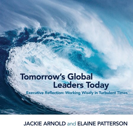 Tomorrow's Global Leaders Today : Executive Reflection: Working Wisely in Turbulent Times (Paperback)