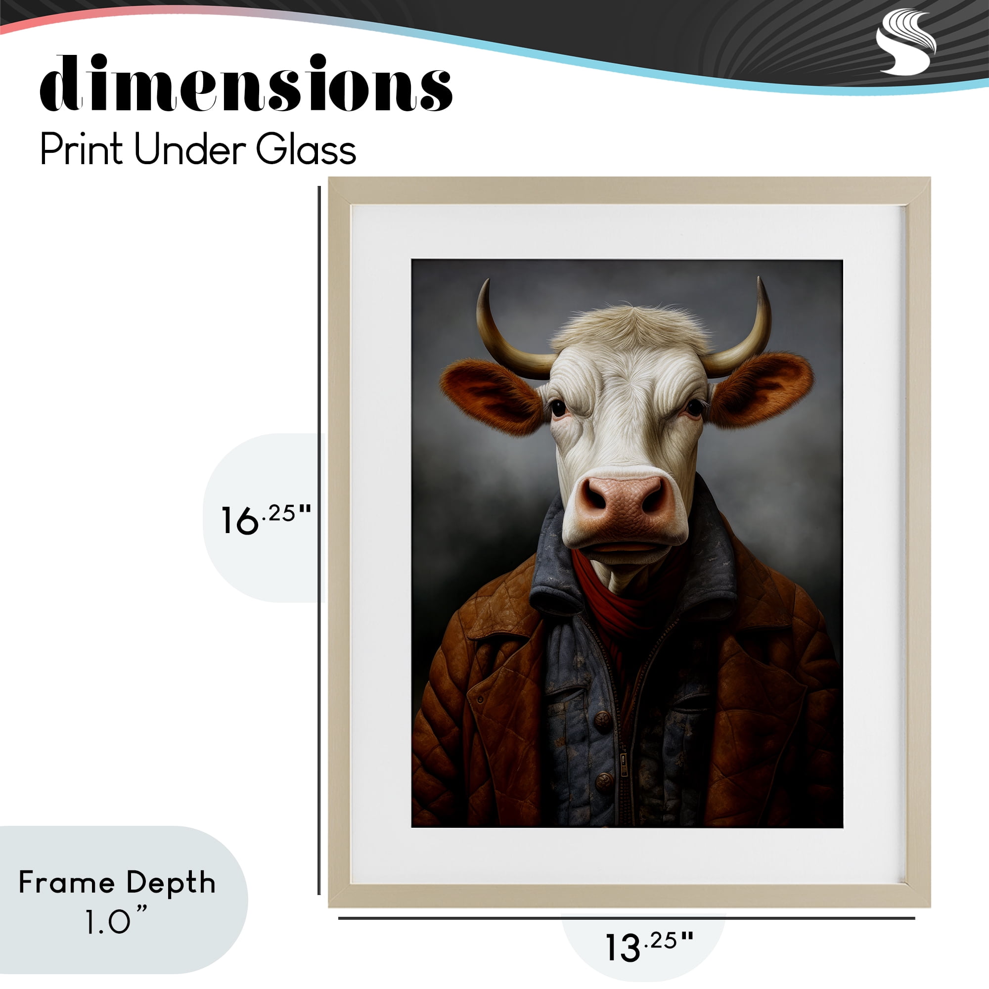 Stupell Industries Chianina Style Cow Birch Framed Print Under Glass, design by Ray Powers