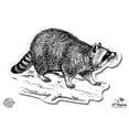 thumbnail image 1 of Raccoon Hand Drawn - 8" Vinyl Sticker - For Car Laptop I-Pad - Waterproof Decal, 1 of 1