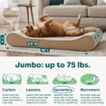 thumbnail image 4 of FurHaven Orthopedic Dog Bed for Large Dogs, Luxe Lounger Contour Mattress with Solid Orthopedic Foam Slab for Joint Support, Removable Washable Cover, Jumbo XL, Plush Suede, Cream, 4 of 10