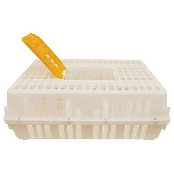 Chicken Transport Crate 30" X 21" X 10"