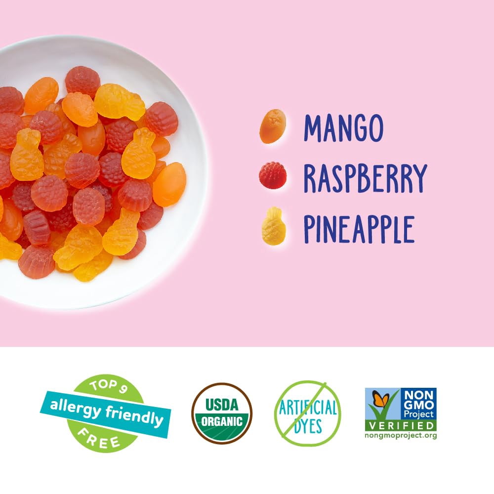 YumEarth Organic Tropical Fruit Snacks (Pack of 35)