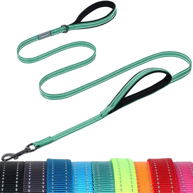 VIVAGLORY Laisse pour Chien Twingrip, Laisse Double Poignée pour l'Entraînement et la Marche avec Poignée de Circulation et 2 Boucles, Contrôle de Circulation Réfléchissant Robuste pour Chiot Animal de Compagnie, 5 Pieds x 1/2 Po, Vert