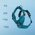 thumbnail image 3 of Voyager Step-In Lock Cat Harness - Adjustable Step-In Vest Harness for Small and Large Cats by Best Pet Supplies, 3 of 10