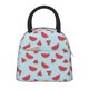 thumbnail image 1 of Balery Watermelon Bolsa de Almuerzo para Mujeres, Caja de Almuerzo, Bolsa de Almuerzo Pequeña Impermeable, Tote de Almuerzo Reutilizable con Gran Capacidad, 1 of 6