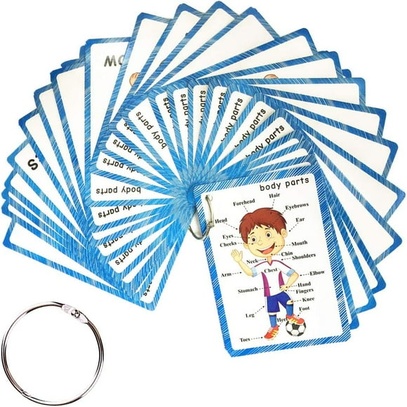 TRAHOO-37 pcs Body Parts Flash Cards, Early Learning Cards on Ring for Toddlers, Kids Learning Tools(Kids Photo Flash Card) for pre-Kindergarten-Classroom Decorations for Kids and Teacher Tools,12x9c