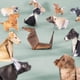 thumbnail image 2 of Juego Papel Plegable Origami 100 Piezas para Del (2 Cajas Perro), 2 of 8