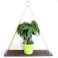 thumbnail image 3 of Rustic Shelf 2 Pcs Wooden Floating Shelves with String Rope Hanging Floating Shelves Rustic Distressed Wood Hanging Shelves Wood Wall Decor Swing Rope, 3 of 3