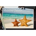 thumbnail image 3 of Catalina Island, California, Star Fish on Beach (12x18 Wall Art Poster, Room Decor), 3 of 3