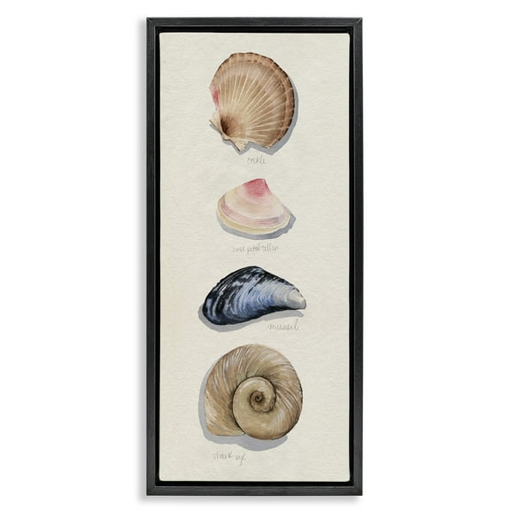 Stupell Industries Traditional Nautical Sea Shells Nature Painting Black Floater Framed Canvas Art Print Wall Art, 11 x 25