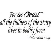 Colossians 2:9, Bible Verse Vinyl Wall Decal by Scripture Wall Art, 11"x22" Black, Christian