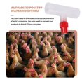 thumbnail image 4 of Accesorios en T para Pezones de Pollo - Kit Bebederos Corral Totalmente AutomáTico Bebedero Agua Pollo, Paquete 10, 4 of 5