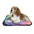 thumbnail image 2 of PKQWTM Macro of rainbow rose flower and colorfull petals Pet Dog Cat Bed Pee Pads Mat Cushion Potty Dogsblankets Crate Bed Kennel 14x18 inch, 2 of 3