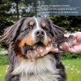 thumbnail image 4 of Indestructible Dog Toy, Beef Flavored Dog Chew Toy Anxiety Relief  for Medium Large Dogs, 4 of 8