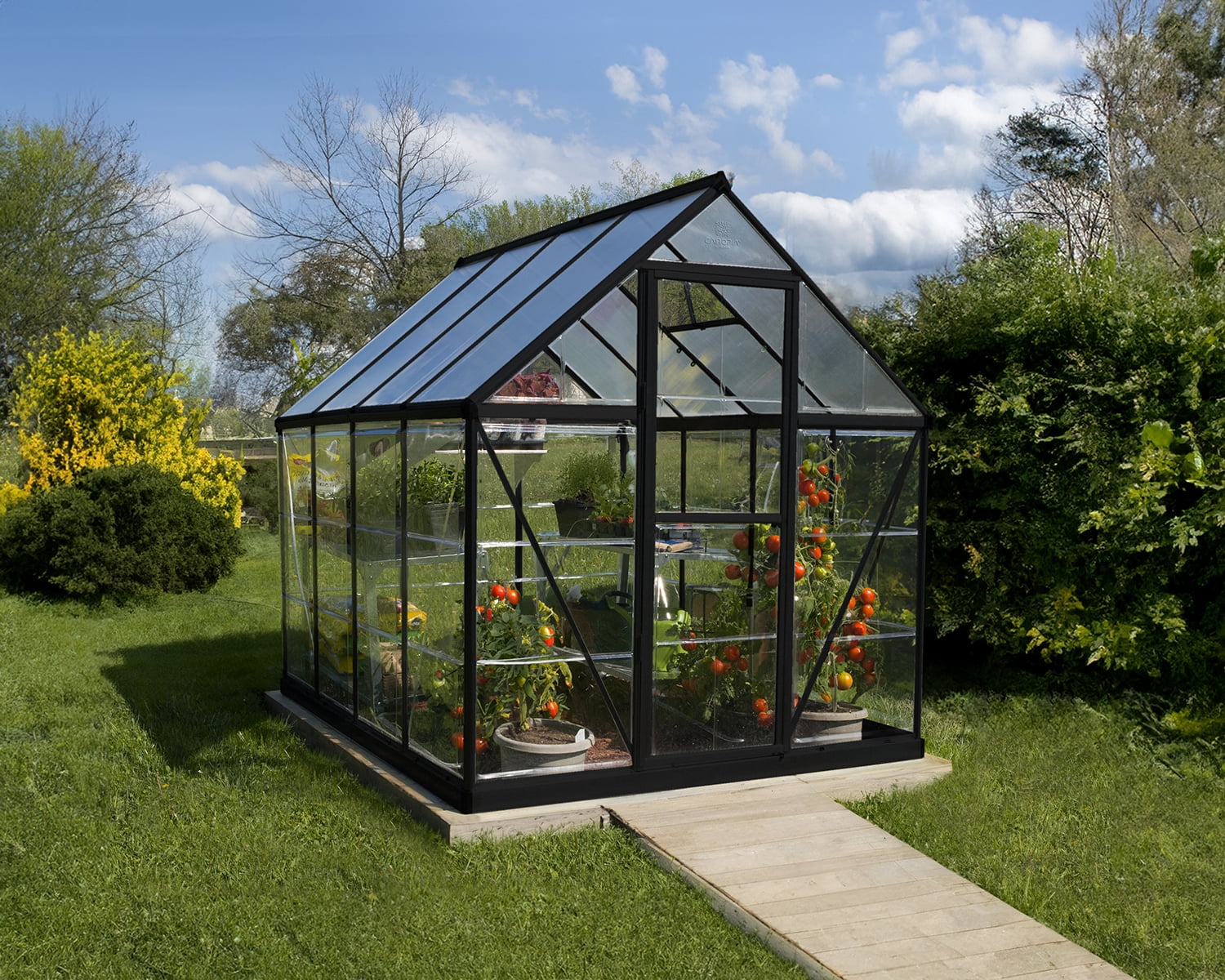 Palram - Canopia Hybrid 6' x 8' Greenhouse - Black