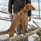thumbnail image 5 of Arnés para perros Carhartt de nailon con forma de pato, no tira, reflectante, color marrón L, 5 of 5