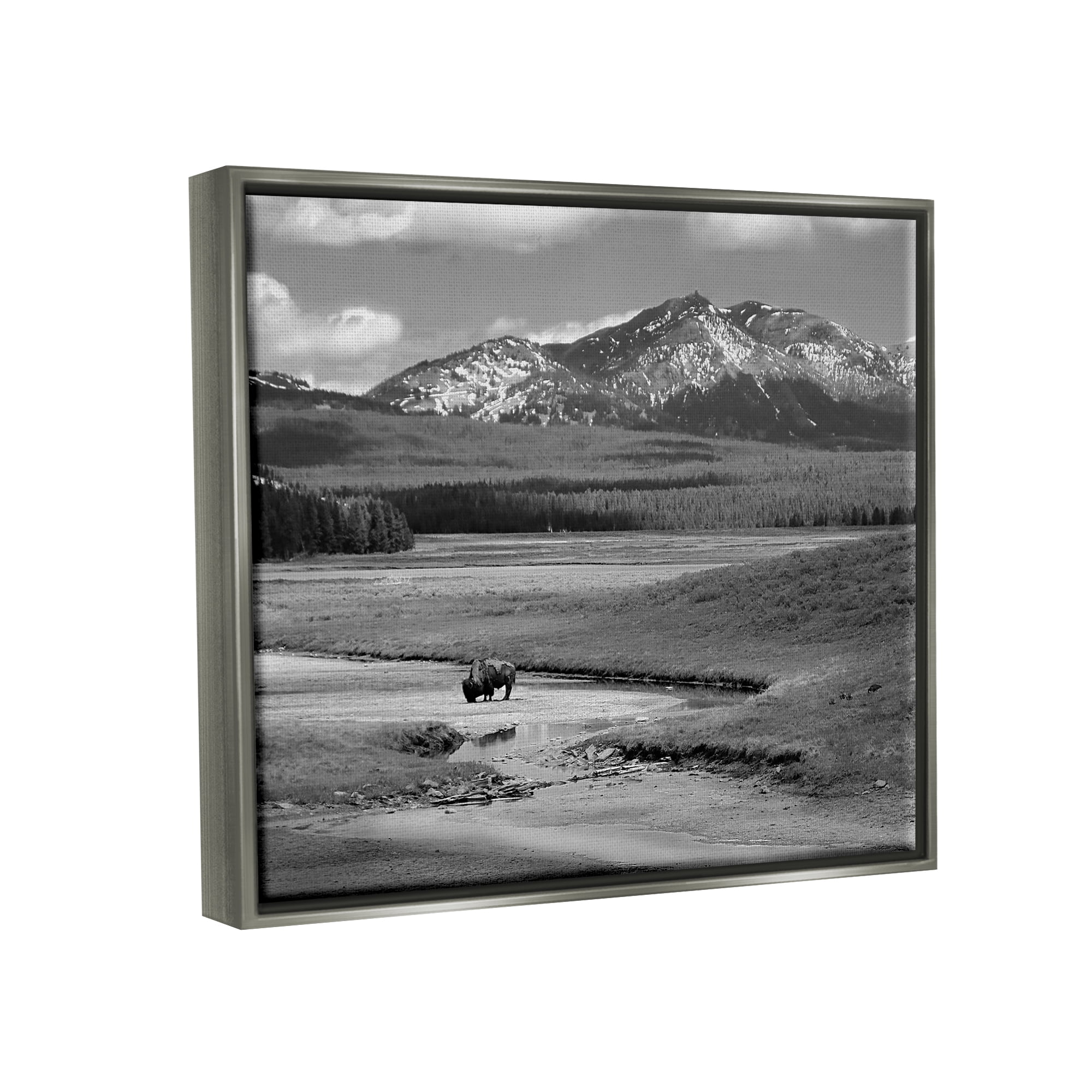 Stupell Industries Bison in Mountain Scene Landscape Photography Gray Floater Framed Canvas Art Print Wall Art, 21 x 17