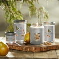 thumbnail image 6 of Yankee Candle Signature Medium 2-Wick Candle, Woodland Weekend Memories, 14.25 oz, 6 of 8