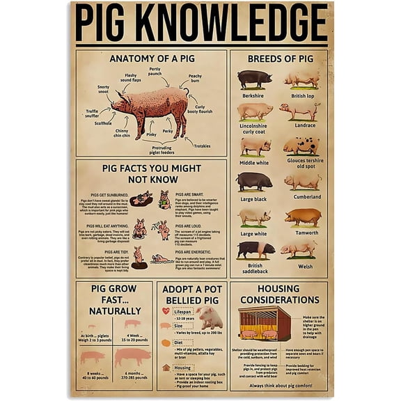 Farm Animal Pig Knowledge Funny Vintage Metal Wall Sign Poster 8x12 Inches