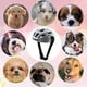 thumbnail image 4 of Casco para perros pequeños y medianos, casco de moto ventilado para perros, casco para mascotas con correa ajustable para gatitos y cachorros, 4 of 5