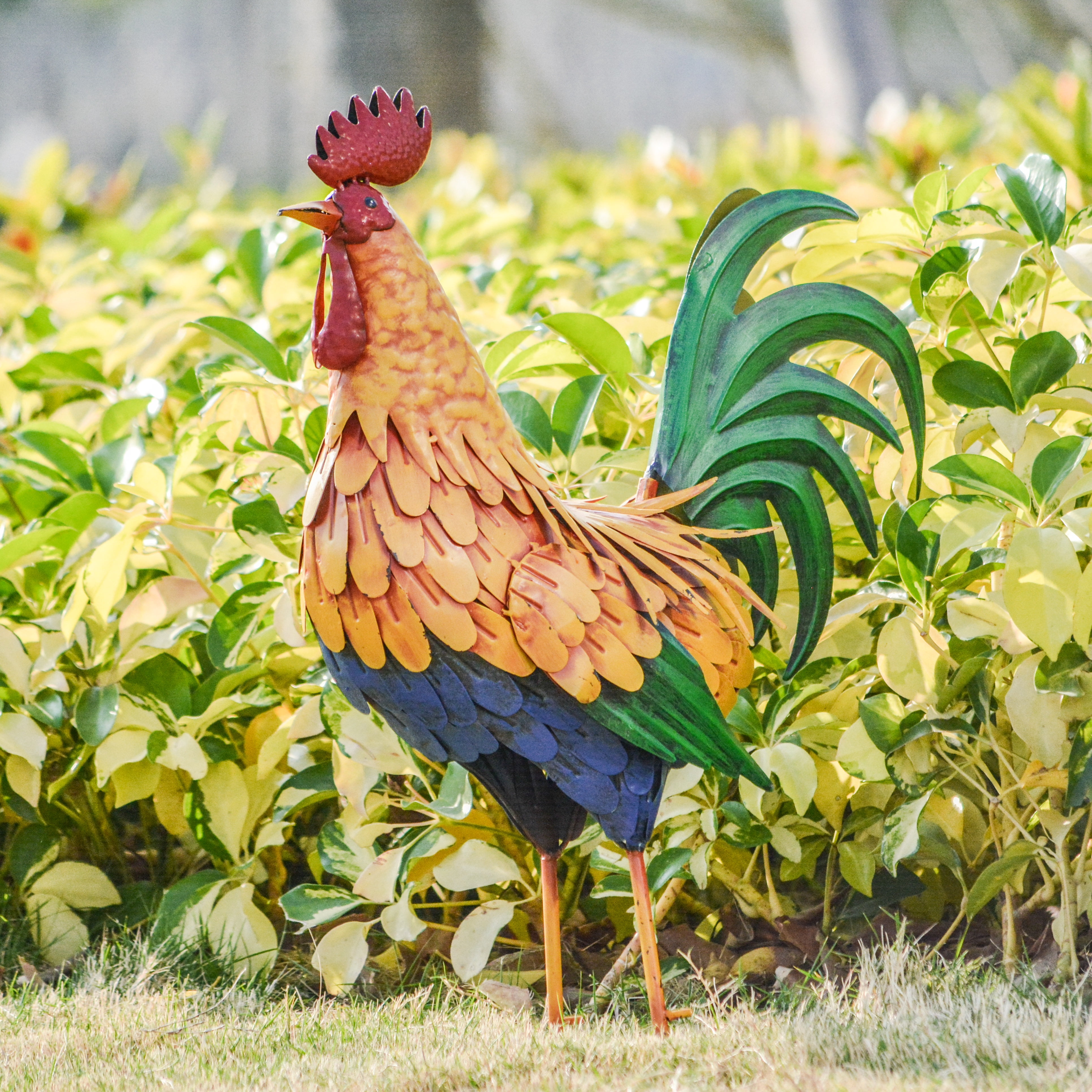 TERESA'S COLLECTIONS Large Metal Rooster Garden Statues Decor, 21 Inch Outdoor Chicken Sculpture Figurines Bird Yard Art for Farm Patio Lawn Kitchen Decorations,Housewarming Gift