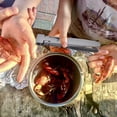 thumbnail image 3 of RKSTN Shrimp Peeler Spicy Crayfish Remover Remover Shrimp Eating Kitchen Tool New Model, 3 of 3
